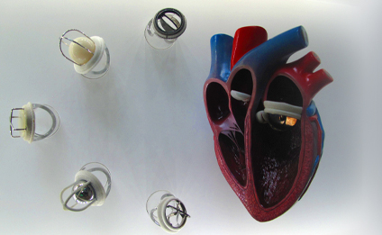 Artificial Heart Model