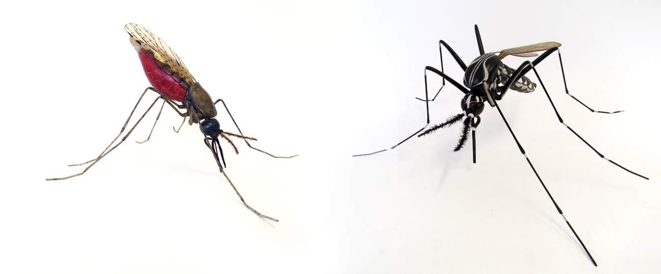 Large-display-models-mosquito-II